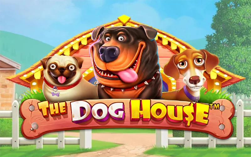 Registrieren Sie sich auf der Website von Nine Casino und gewinnen Sie beim Spiel The Dog House.